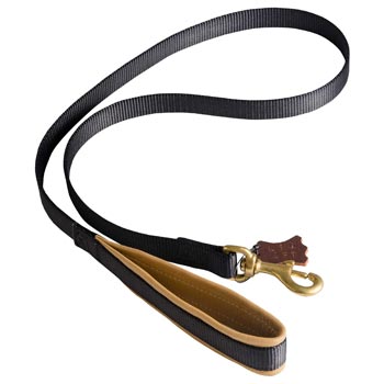 Special Nylon Dog Leash Comfortable to Use for English Pointer
