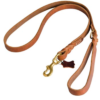 Canine Leather Leash for English Pointer