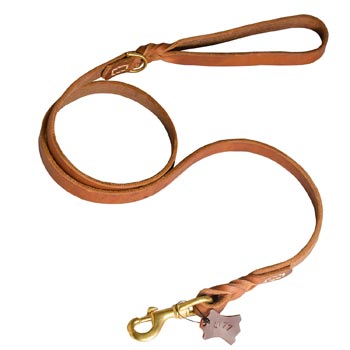 Training Leather English Pointer Leash with Handle
