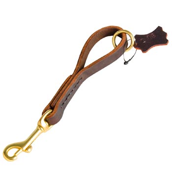 Pull Tab Leather Dog Leash for English Pointer
