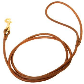 Leather Round Leash for English Pointer Elegant Look