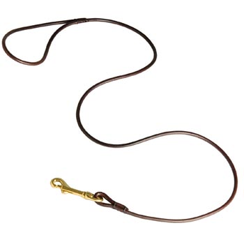 Leather Canine Leash for English Pointer Presentation at Dog Shows