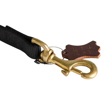 Nylon English Pointer Leash with Dependably Stitched Brass Snap Hook