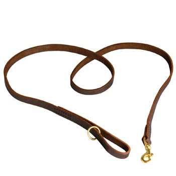 Durable Leather English Pointer Leash