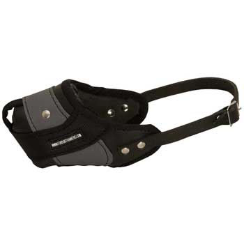 English Pointer Muzzle Leather and Nylon for Walking and Training