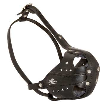 English Pointer Muzzle for Attack Training