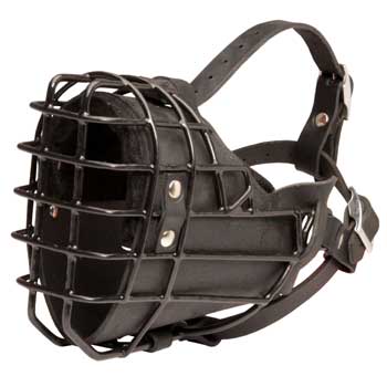 Winter Fully Wire English Pointer Padded Muzzle Cage
