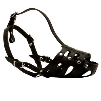 Leather English Pointer Well-Fitting Muzzle