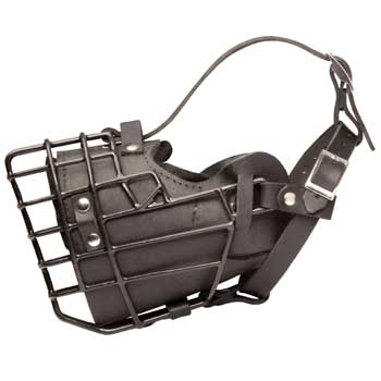 Leather English Pointer Muzzle Padded Metal Basket