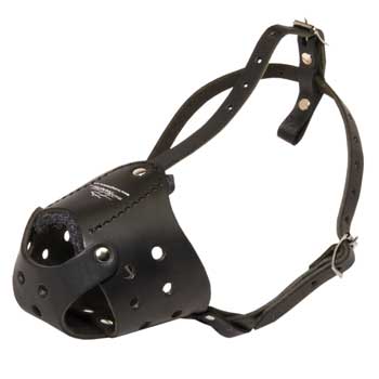 Light in Weight Anti-Barking English Pointer Muzzle