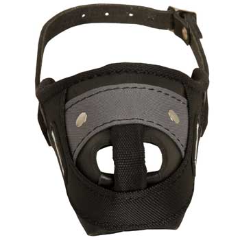 Nylon and Leather English Pointer Muzzle with Steel Bar for Protection Training