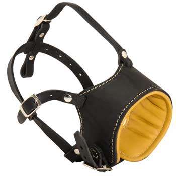 Adjustable English Pointer Muzzle Padded with Soft Nappa Leather for Anti-Barking Training
